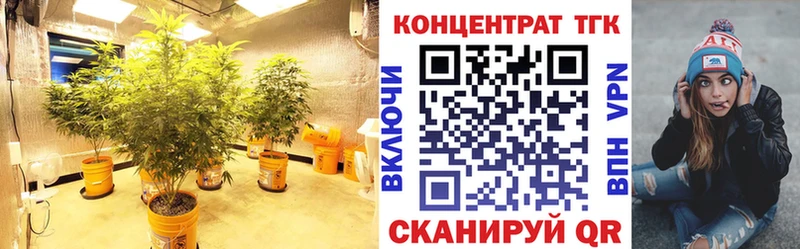 Дистиллят ТГК гашишное масло  darknet как зайти  Сургут 