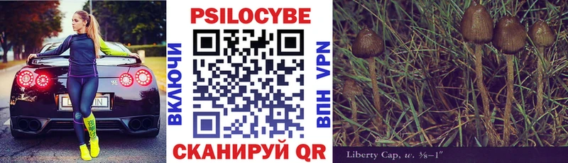 мориарти телеграм  Сургут  Псилоцибиновые грибы ЛСД 
